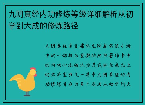 九阴真经内功修炼等级详细解析从初学到大成的修炼路径